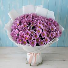 Букет цветов из:  Хризантемы в Уржуме