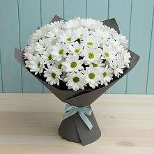 Букет цветов из:  Хризантемы #REPLACE_PRED# Уржуме