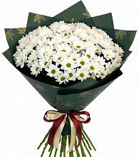 Букет цветов из:  Хризантемы #REPLACE_PRED# Уржуме