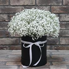 Цветочная композиция из Гипсофила в шляпной коробке в Уржуме