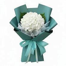 Букет цветов из:  Гортензия в Уржуме